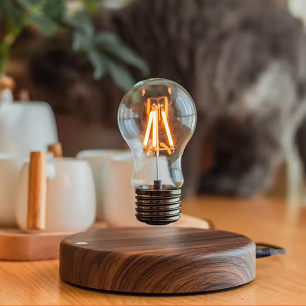 lampe levitation : Ampoule